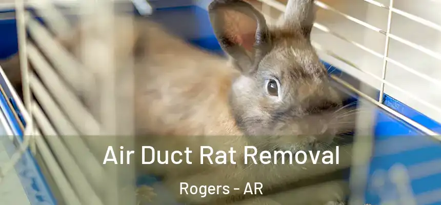  Air Duct Rat Removal Rogers - AR