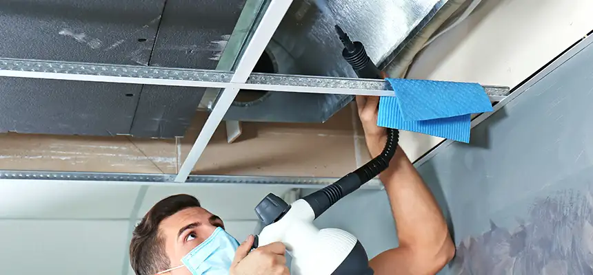 Our Air Duct Rodent Removal Services in Rogers, AR