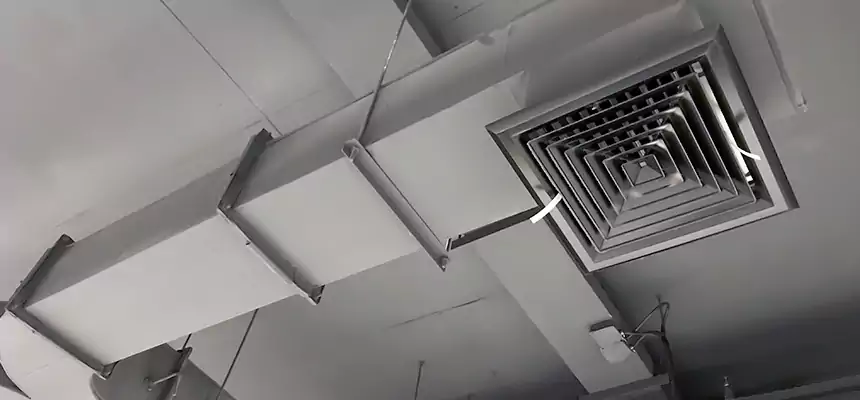 Restorative Allergy Relief Vent Cleaning – Coil, Blower & Housing Detail in Rogers