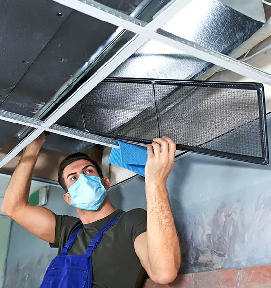 About Air Duct Bacteria Removal in Rogers