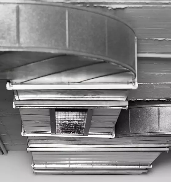 Professional Air Duct Pet Hair Removal in Rogers, AR