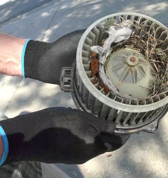 About Air Duct Rat Removal in Rogers, AR