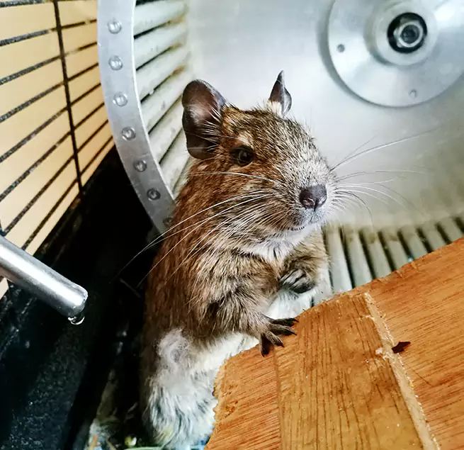 Why Homeowners & Businesses Trust Us Rogers, AR